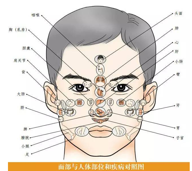 中医看脸图 – 蒙特利尔上海同乡会