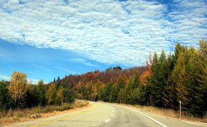 Read more about the article 感恩节 Ouareau 赏枫一日游-2025.10.13