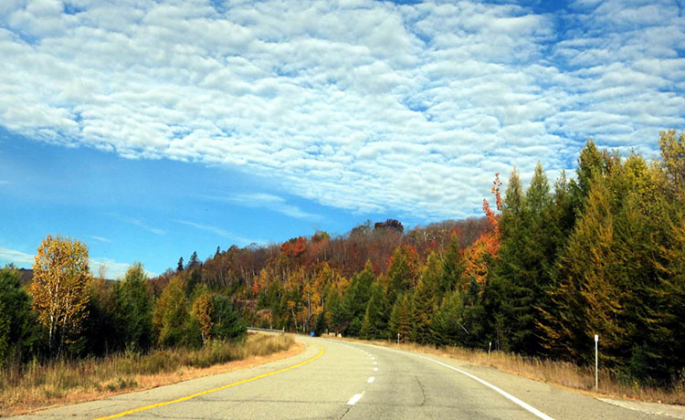 You are currently viewing 感恩节 Ouareau 赏枫一日游-2025.10.13